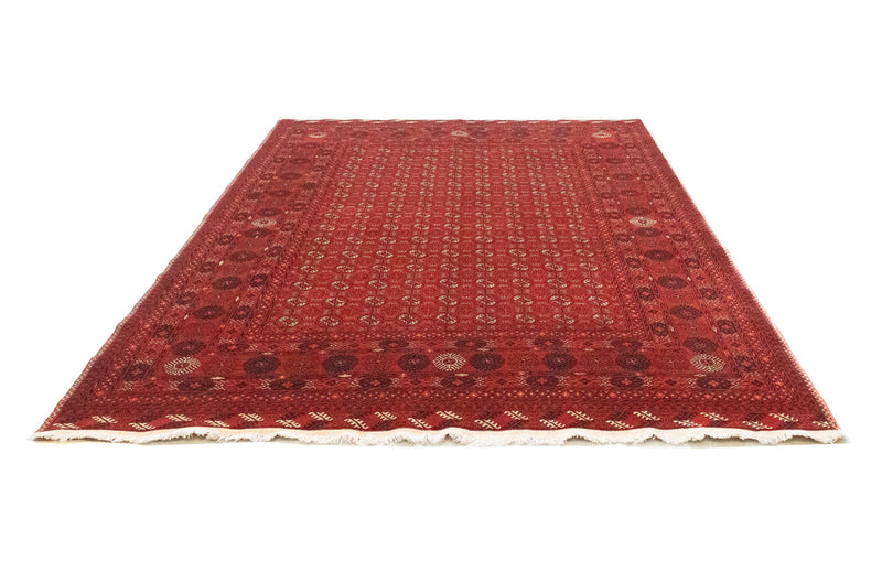Tapis afghan - Boukhara - 295 x 199 cm - rouge foncé
