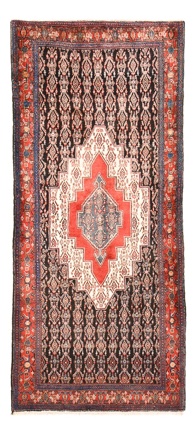 Tapis de couloir Tapis persan - Classique - 262 x 120 cm - multicolore
