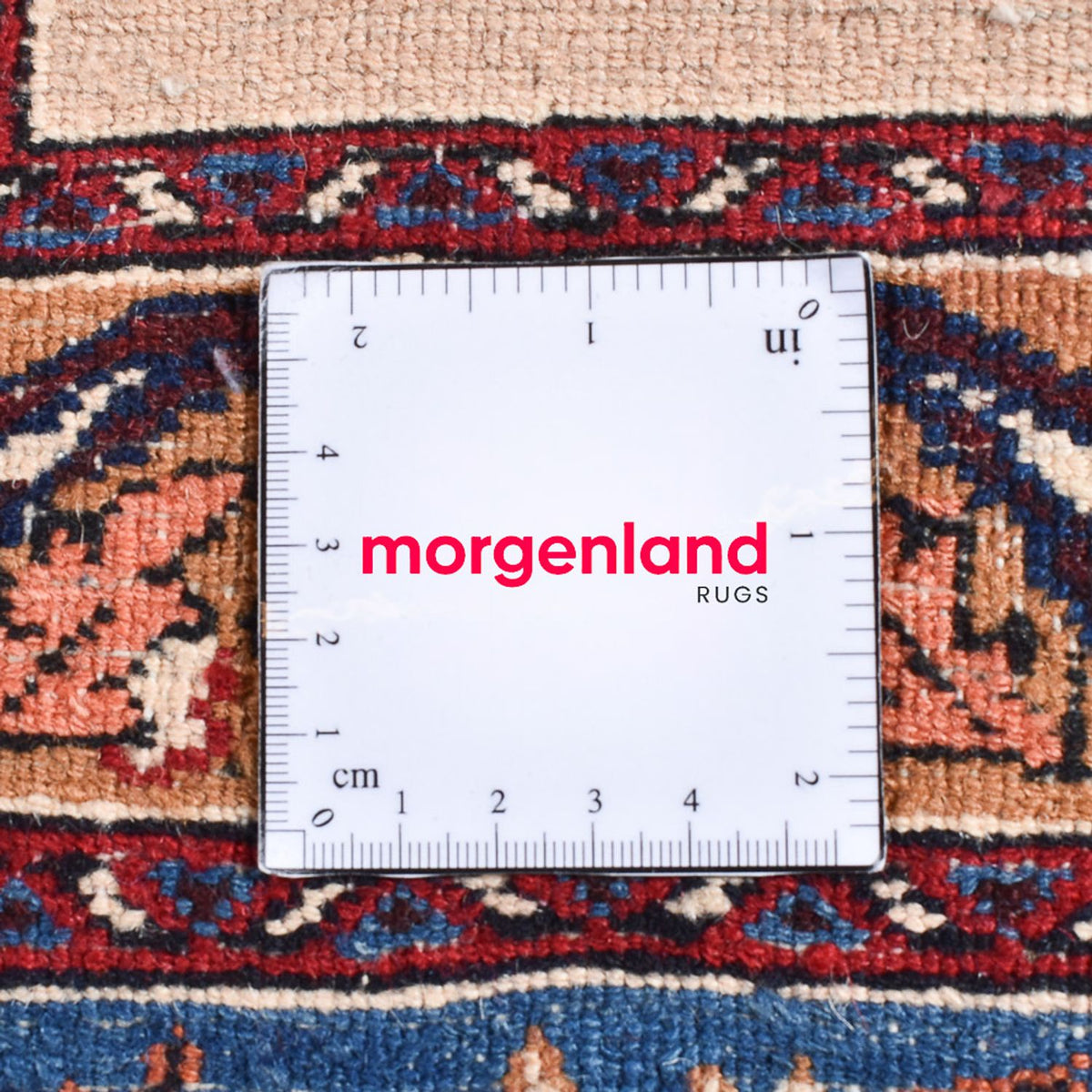 Tapis persan - Classique - 310 x 212 cm - bleu foncé