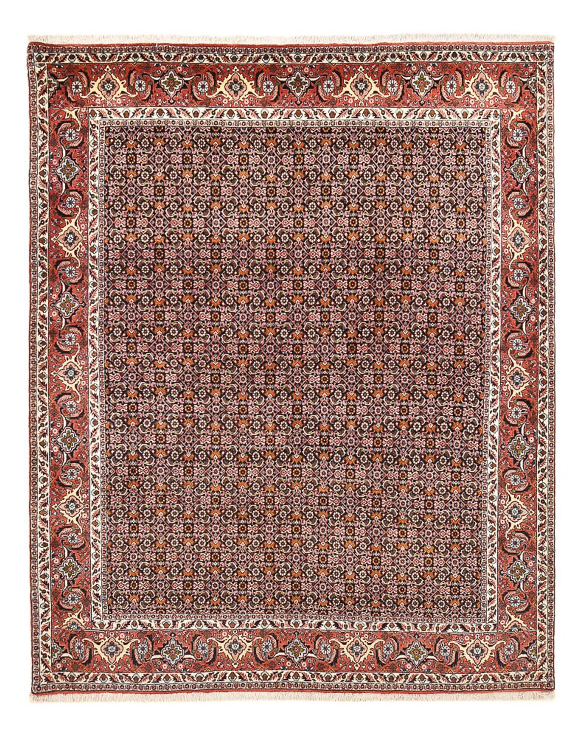 Tapis persan - Bidjar - 264 x 204 cm - rouille