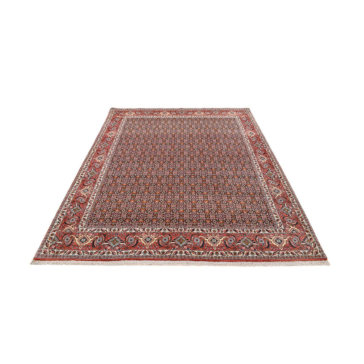 Tapis persan - Bidjar - 264 x 204 cm - rouille