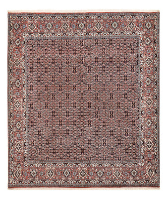 Tapis persan - Bidjar - 243 x 206 cm - rouille