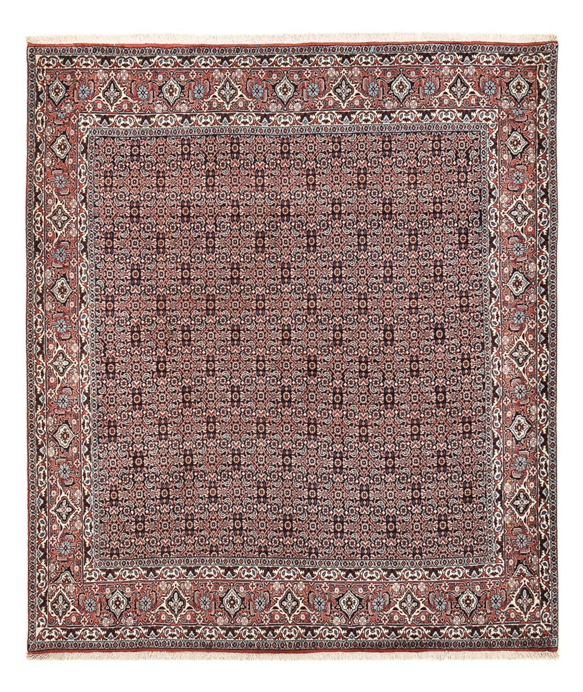 Tapis persan - Bidjar - 243 x 206 cm - rouille