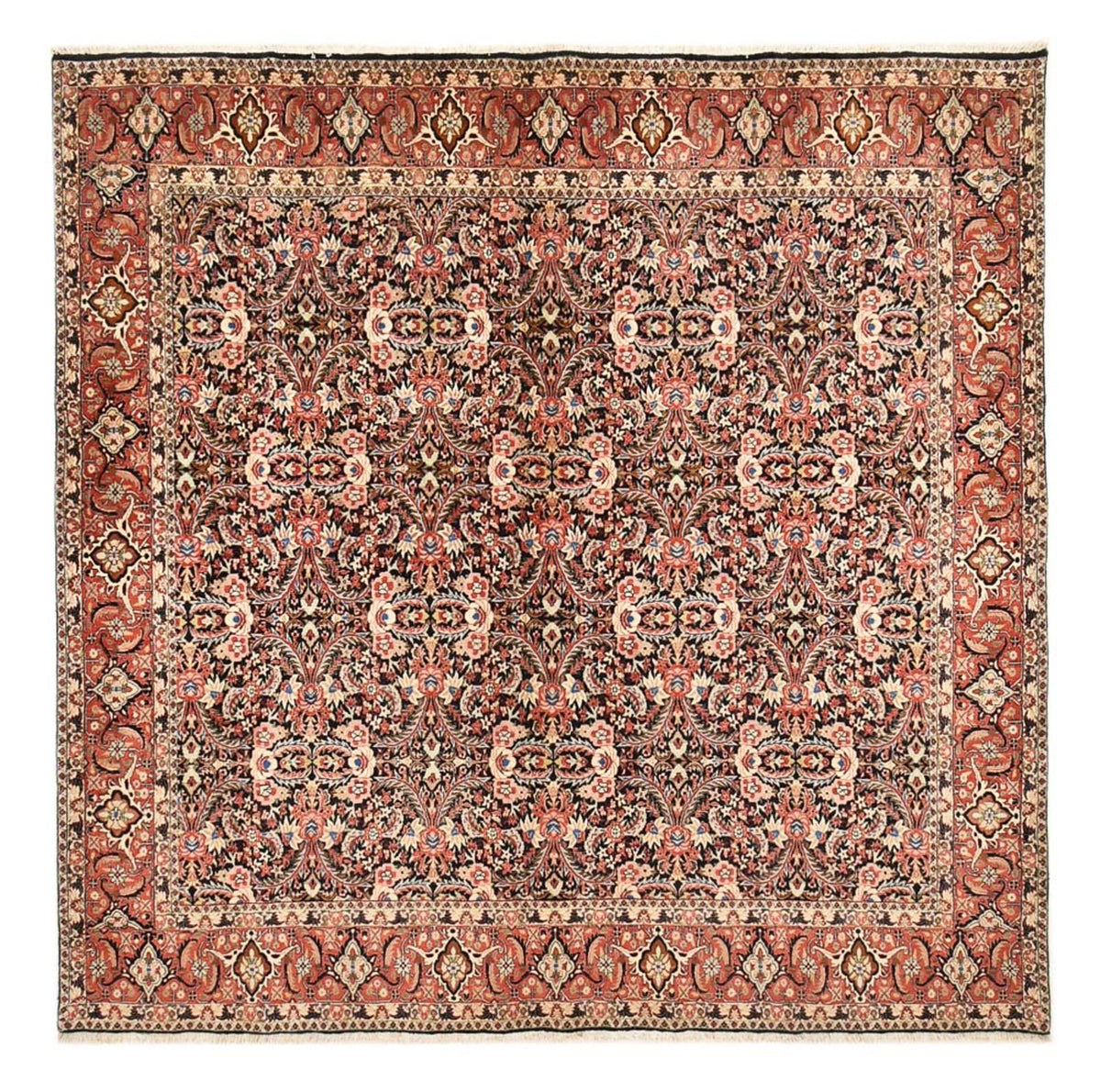 Tapis persan - Bidjar carré  - 302 x 300 cm - rouille