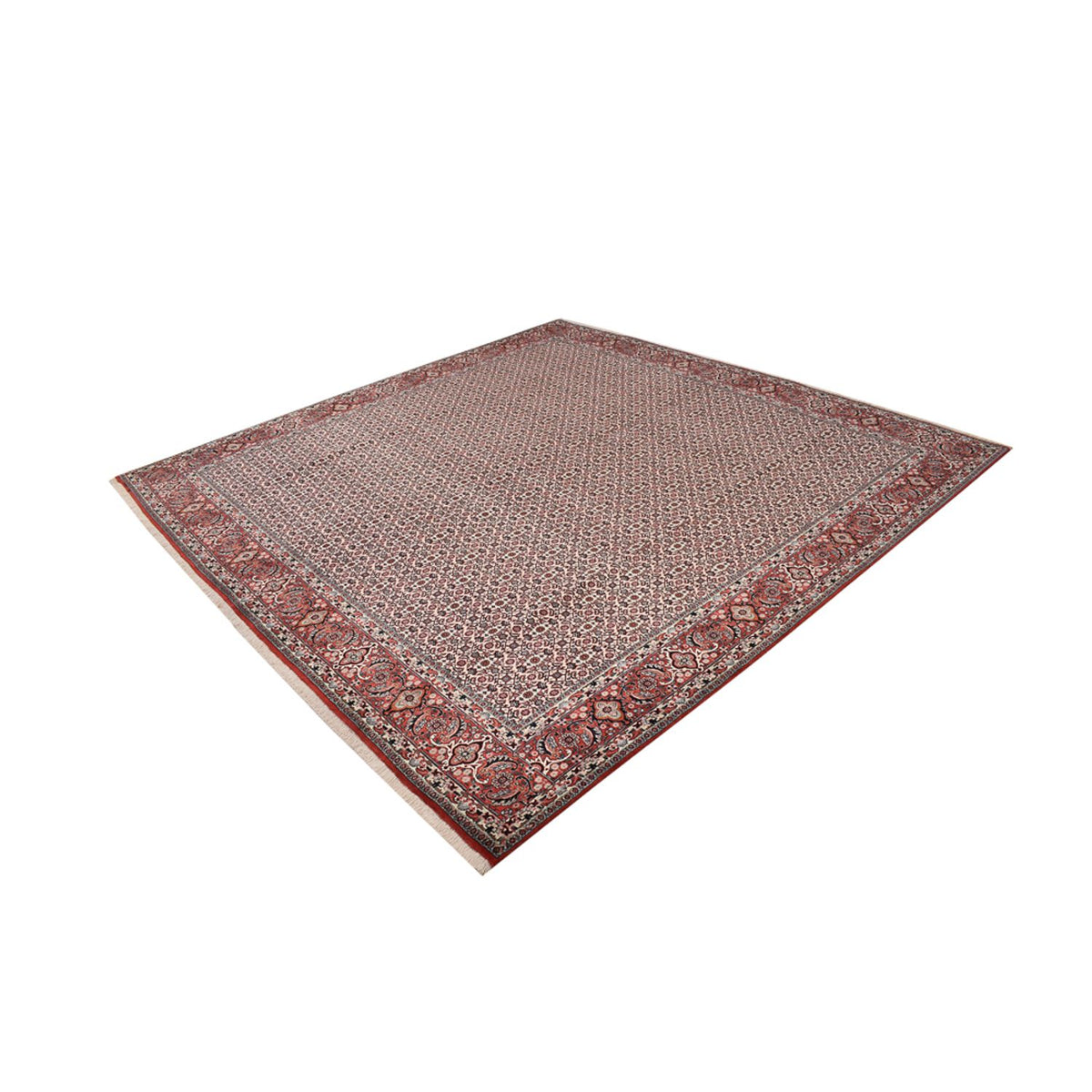 Tapis persan - Bidjar carré  - 306 x 304 cm - rouille