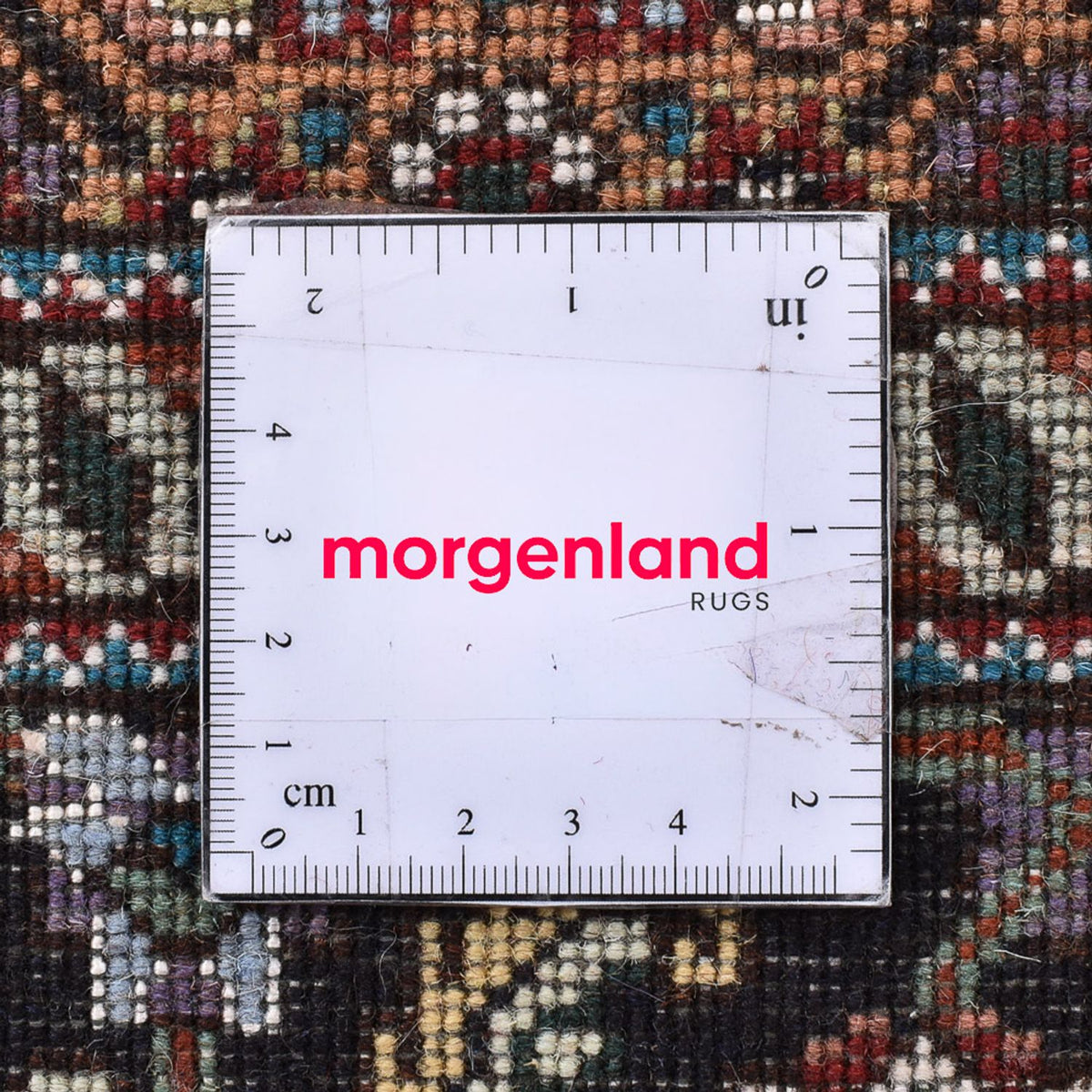 Tapis persan - Tabriz - Royal carré  - 202 x 200 cm - sable