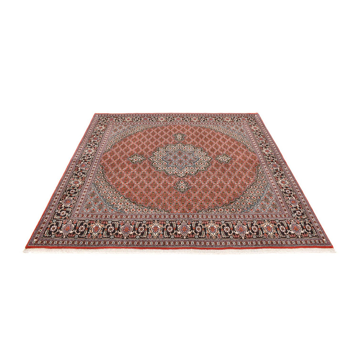 Tapis persan - Tabriz - Royal carré  - 245 x 245 cm - rouille