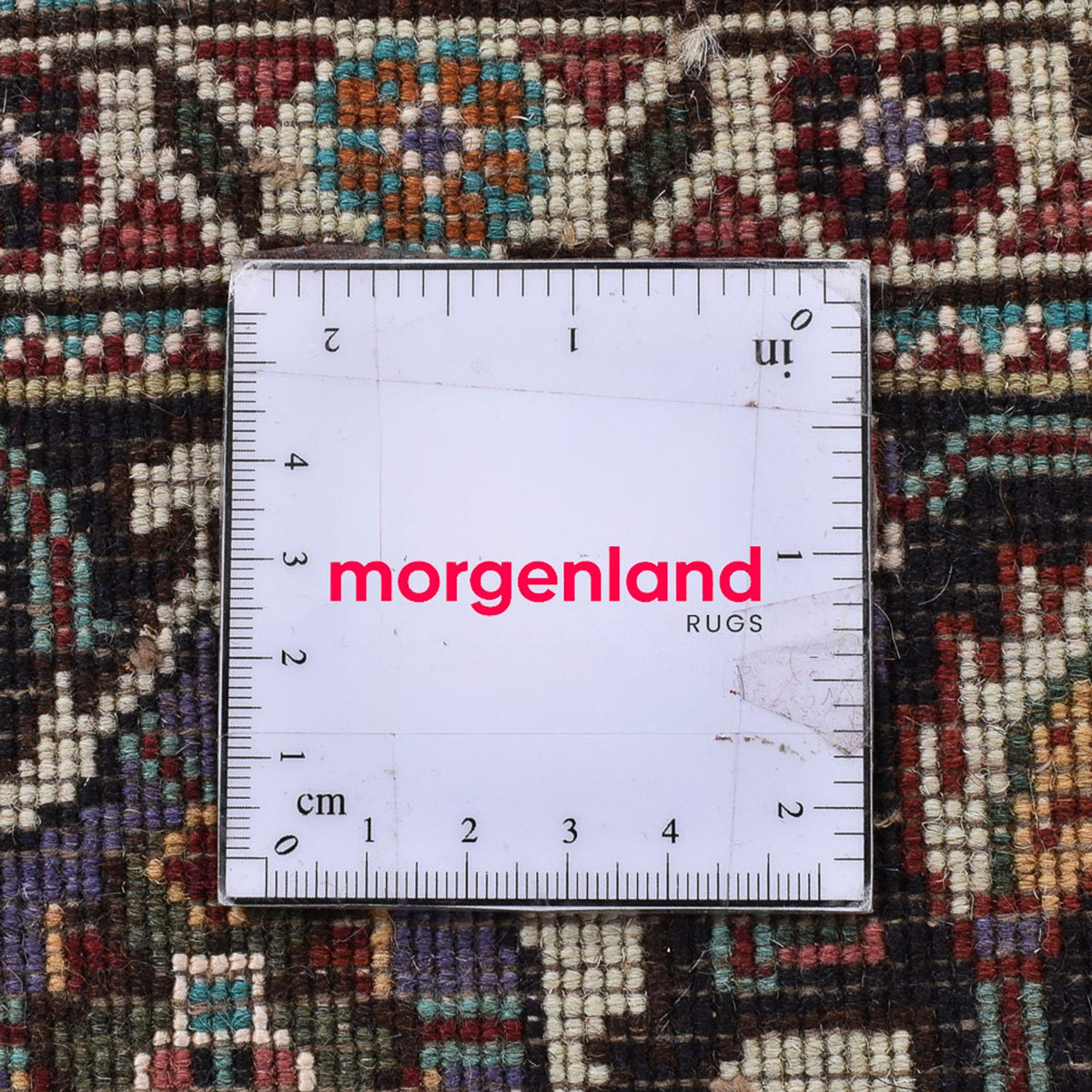 Tapis persan - Tabriz - Royal carré  - 200 x 197 cm - marron clair