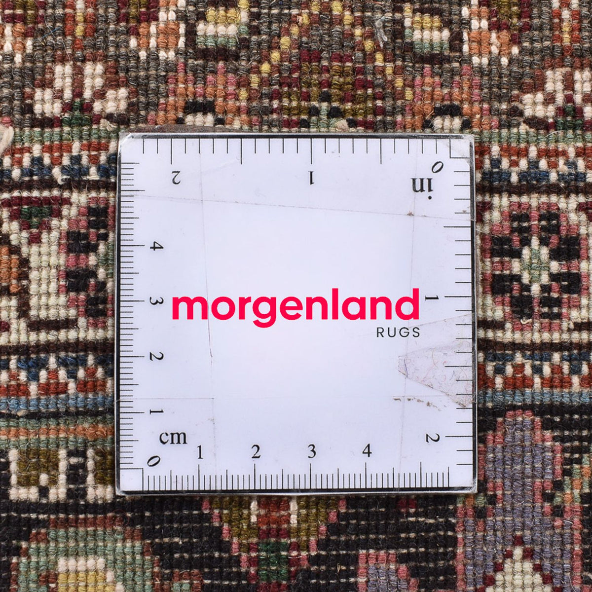 Tapis persan - Tabriz - Royal carré  - 198 x 194 cm - marron clair