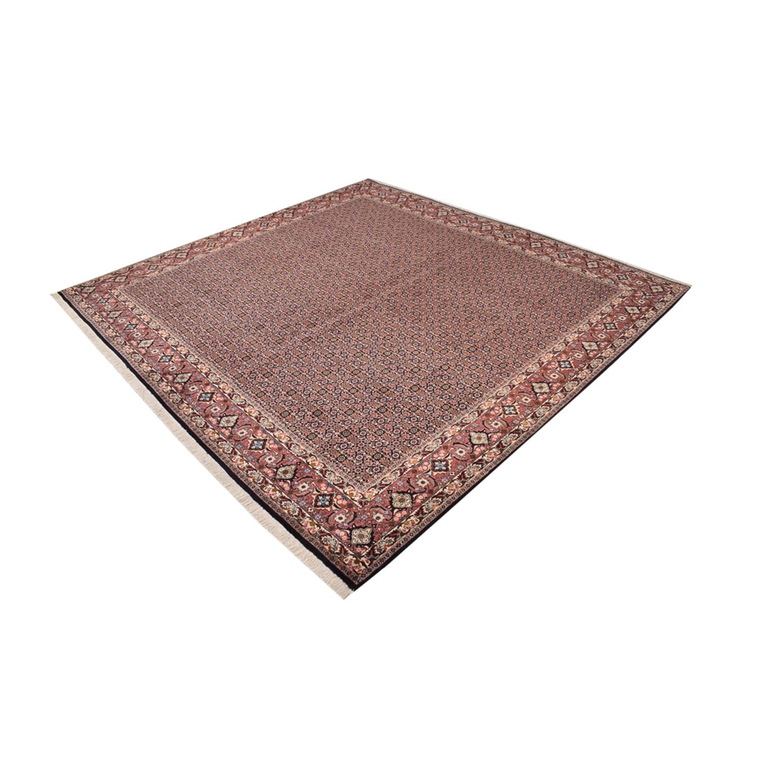 Tapis persan - Bidjar carré  - 303 x 293 cm - rouille