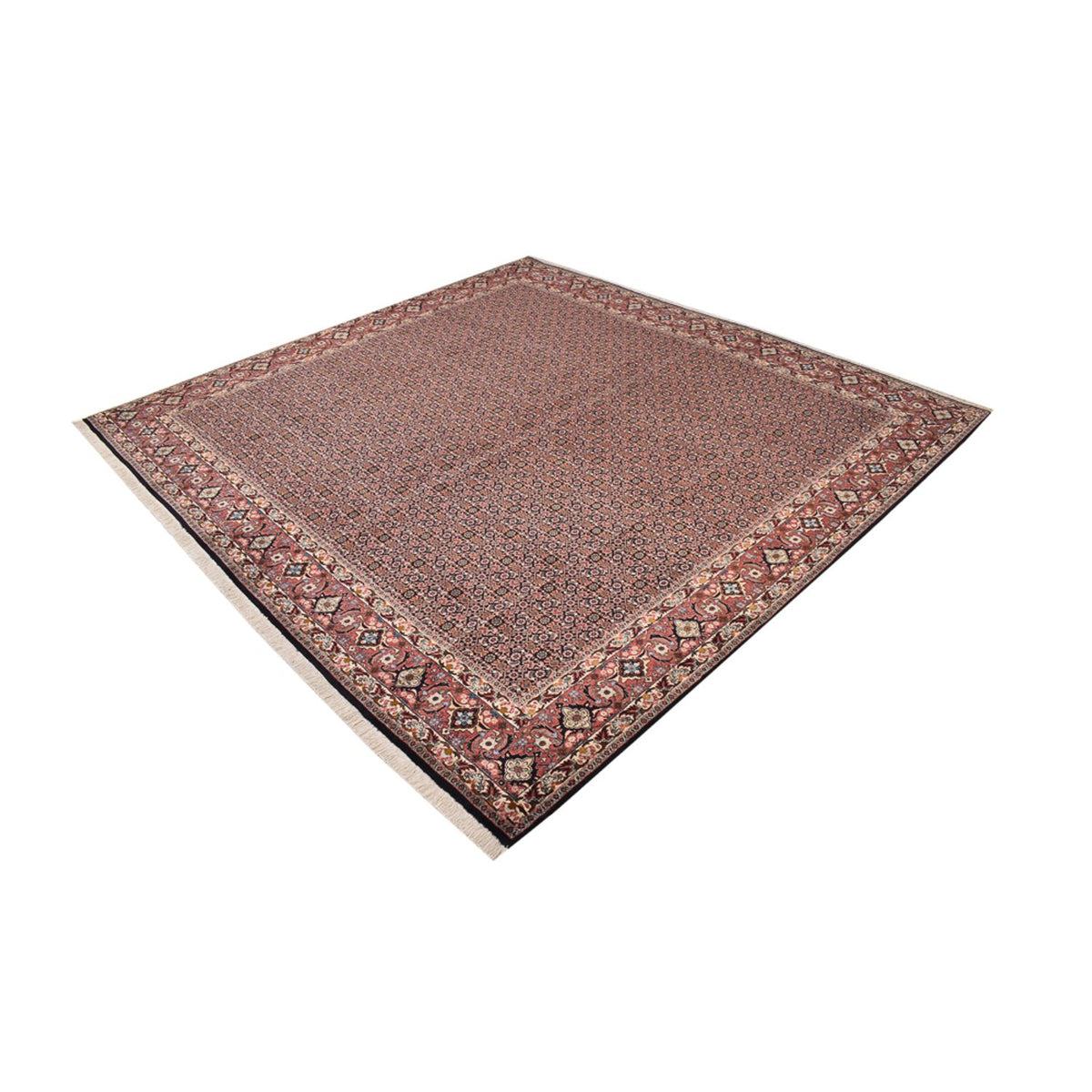 Tapis persan - Bidjar carré  - 303 x 293 cm - rouille