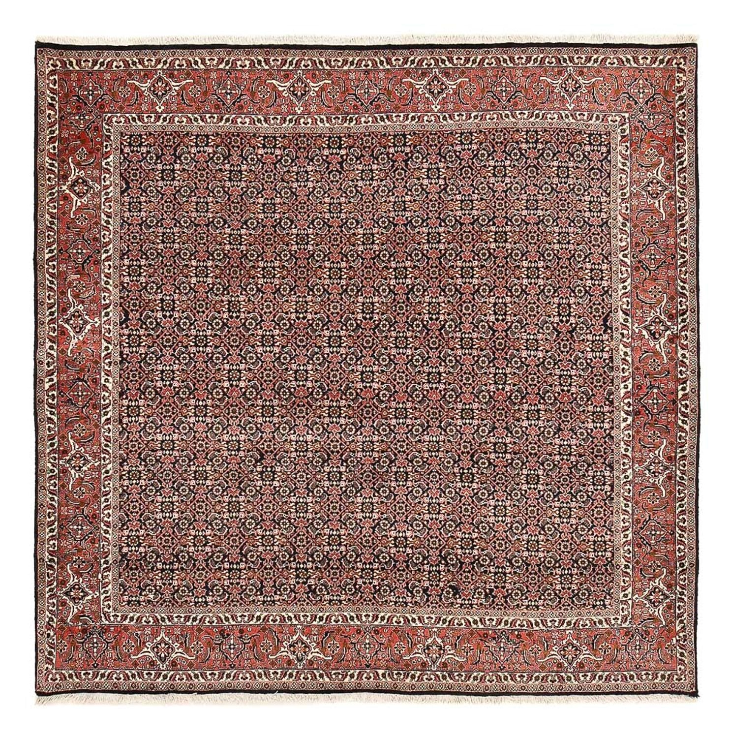 Tapis persan - Bidjar carré  - 205 x 205 cm - rouille