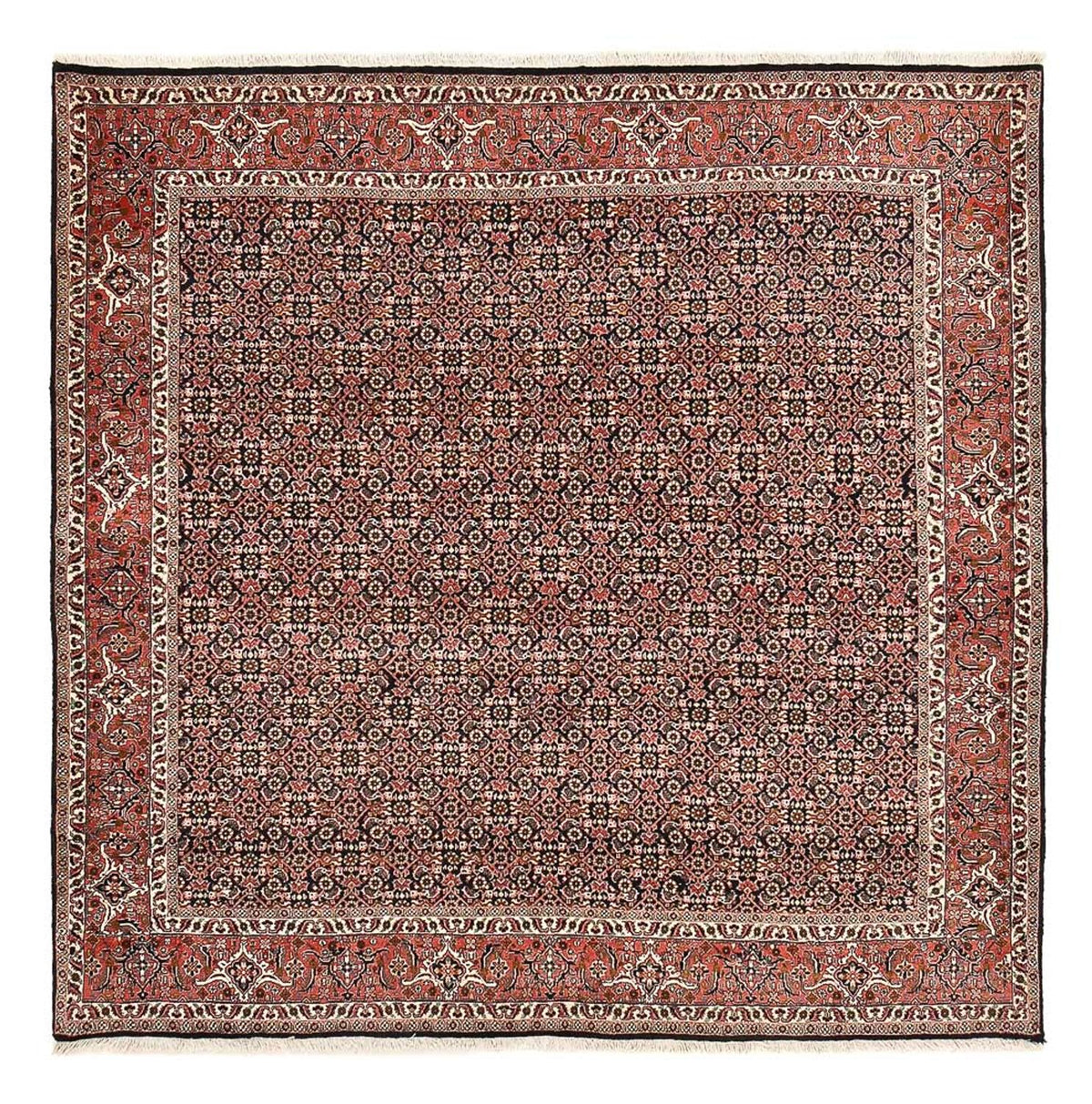Tapis persan - Bidjar carré  - 205 x 205 cm - rouille