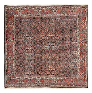Tapis persan - Bidjar carré  - 205 x 205 cm - rouille