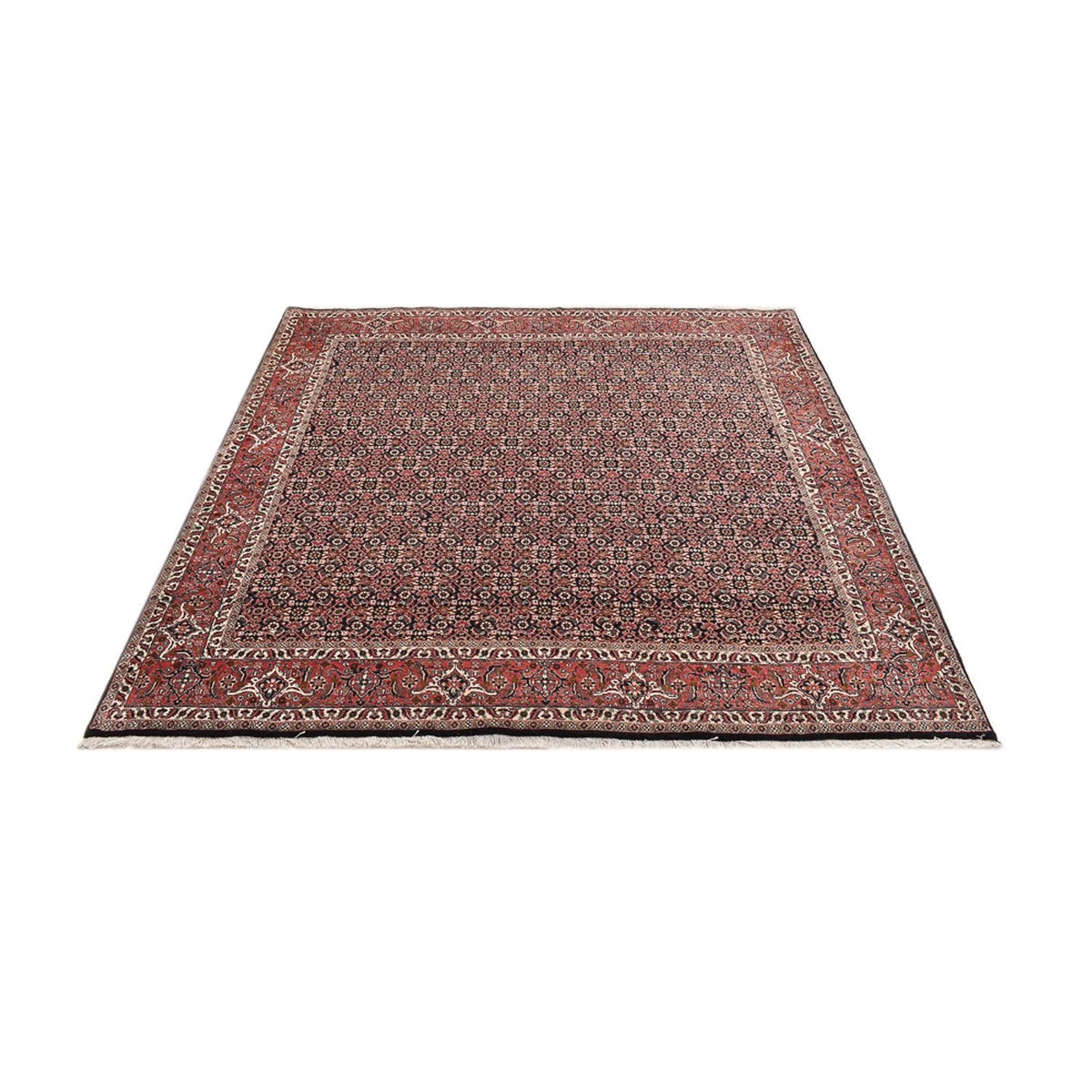 Tapis persan - Bidjar carré  - 205 x 205 cm - rouille