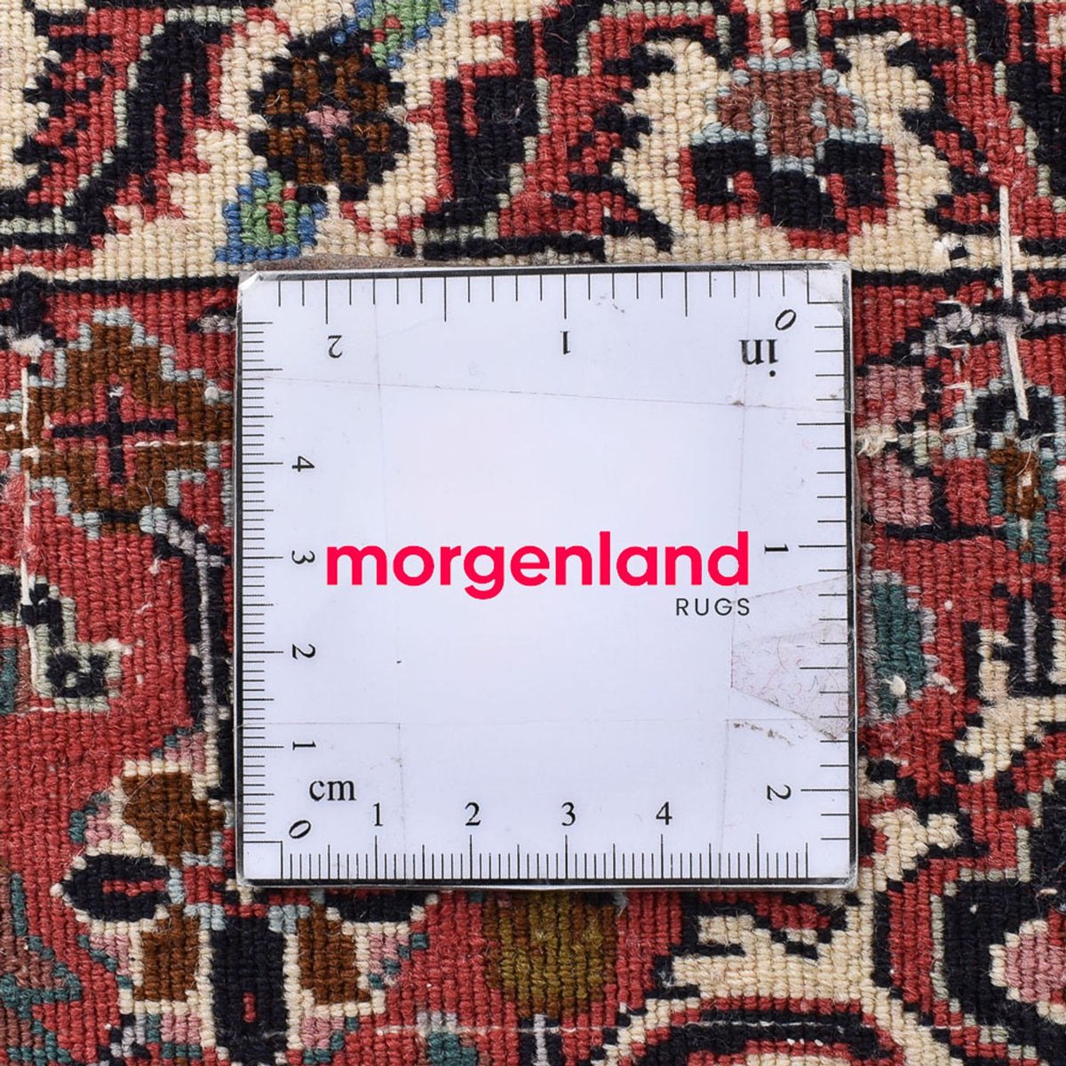 Tapis persan - Bidjar carré  - 205 x 205 cm - rouille