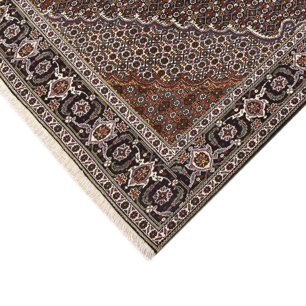 Tapis persan - Tabriz - Royal carré  - 200 x 200 cm - marron