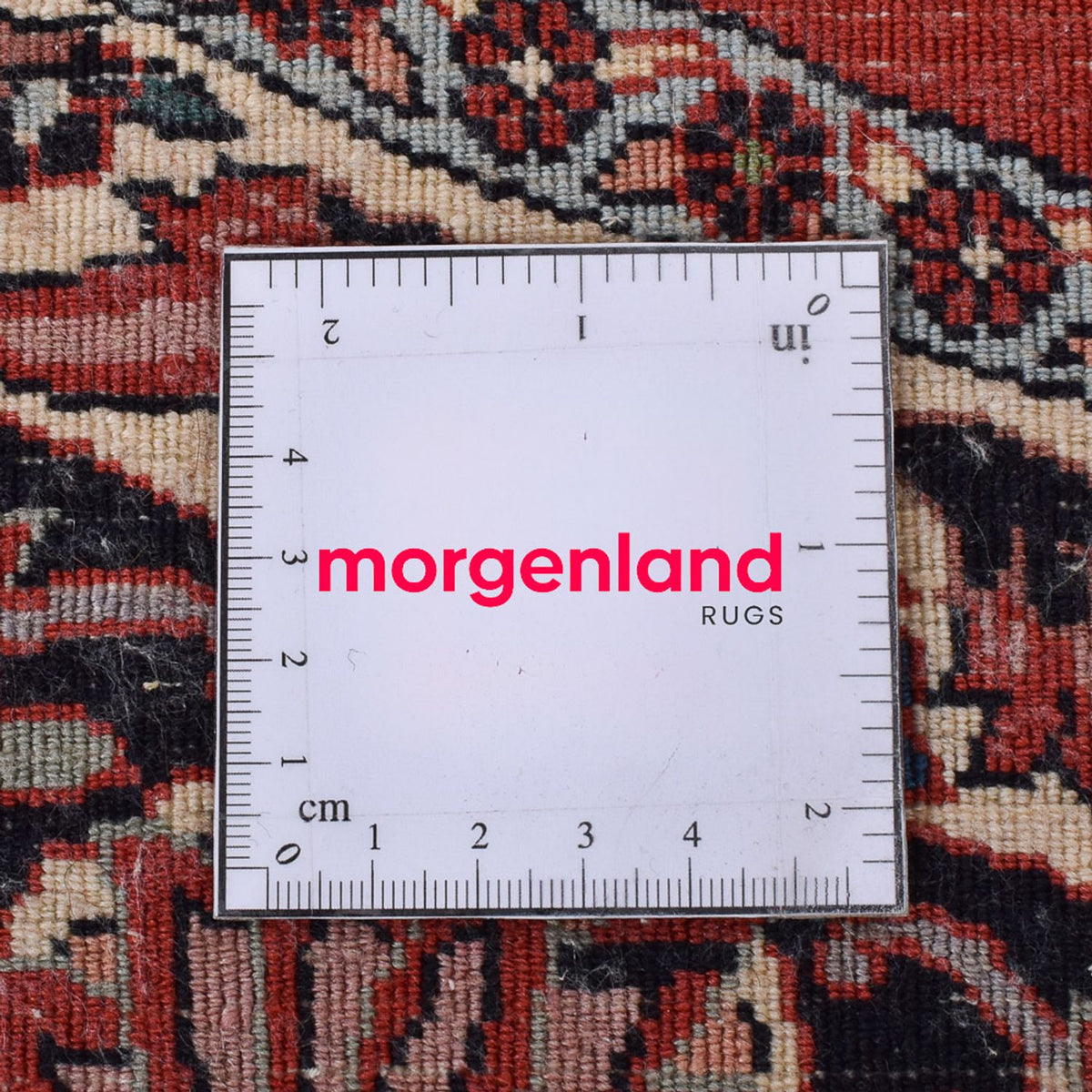 Tapis persan - Bidjar ronde  - 250 x 250 cm - multicolore