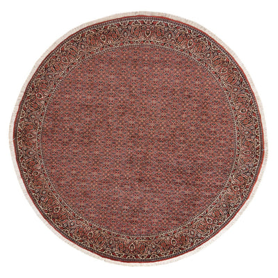 Tapis persan - Bidjar ronde  - 255 x 255 cm - rouille