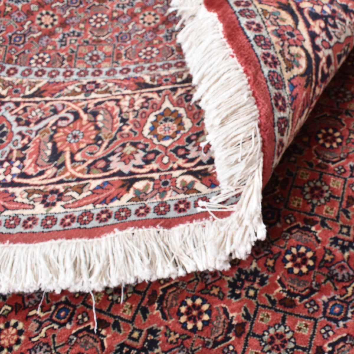 Tapis persan - Bidjar ronde  - 255 x 255 cm - rouille