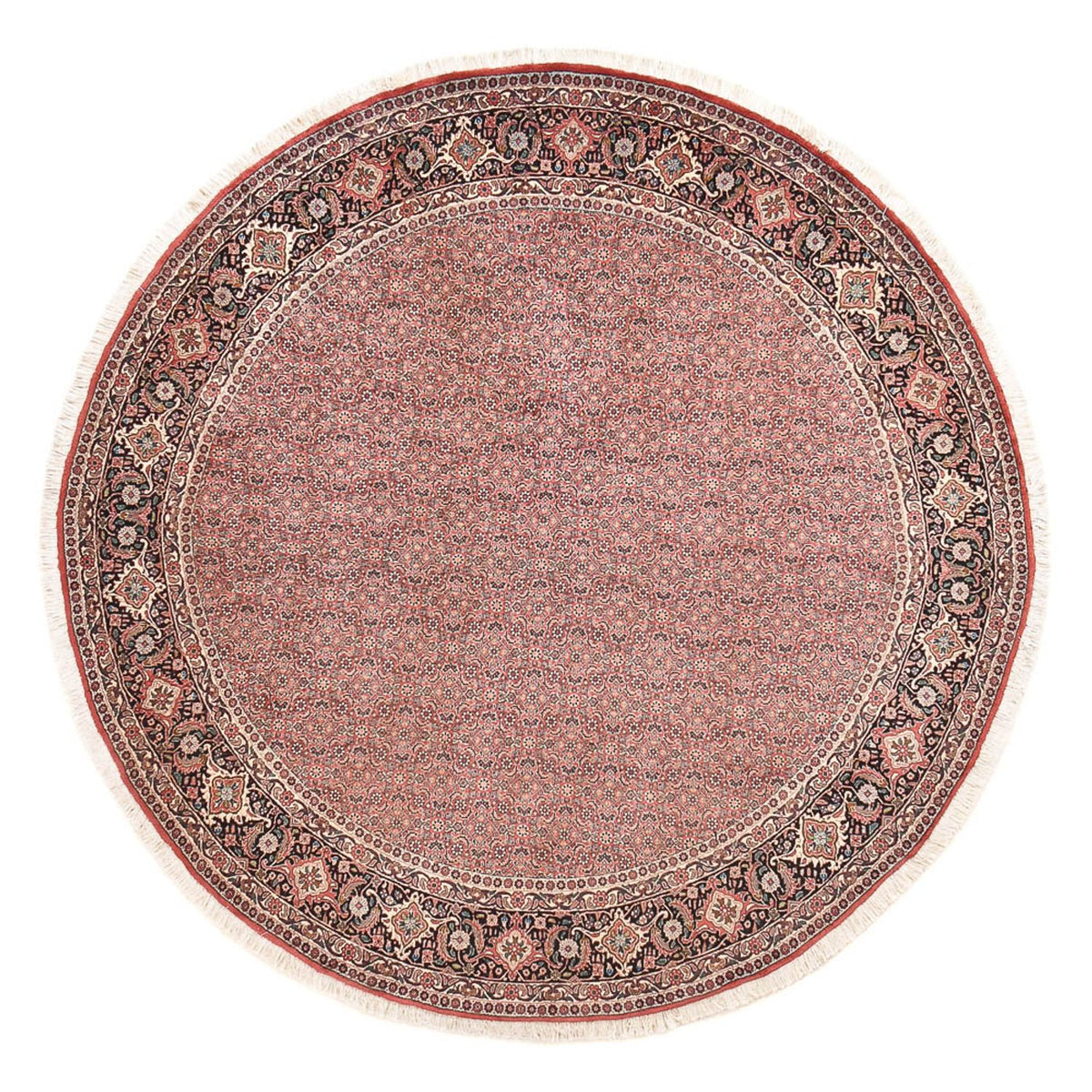 Tapis persan - Bidjar ronde  - 255 x 255 cm - rouge clair