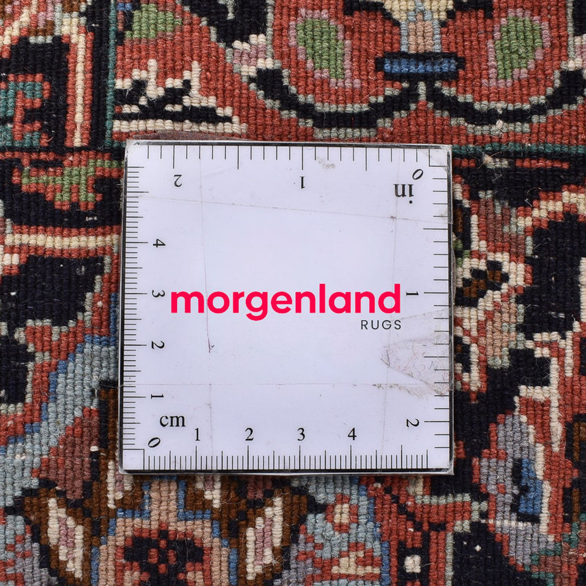 Tapis persan - Bidjar - 243 x 210 cm - marron clair