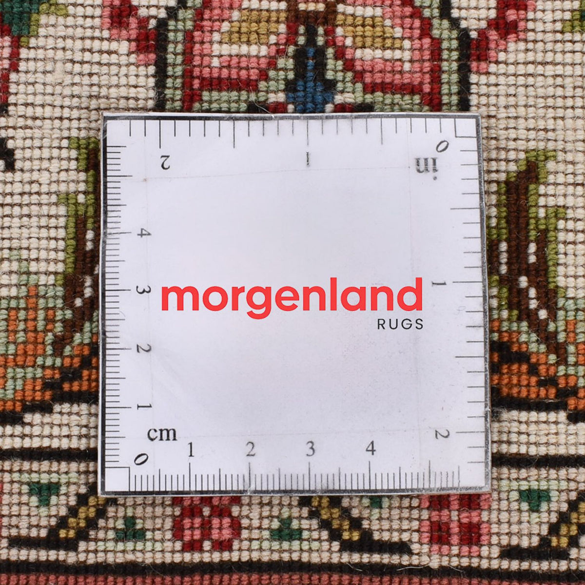 Tapis de couloir Tapis persan - Tabriz - Premium - 255 x 70 cm - sable