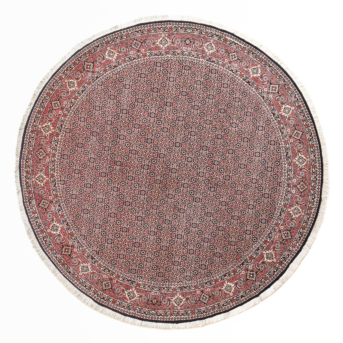 Tapis persan - Bidjar ronde  - 255 x 255 cm - rouille