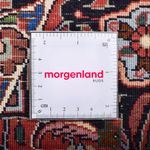 Tapis persan - Bidjar ronde  - 255 x 255 cm - rouille