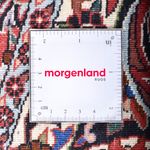 Tapis persan - Bidjar ronde  - 250 x 250 cm - rouille