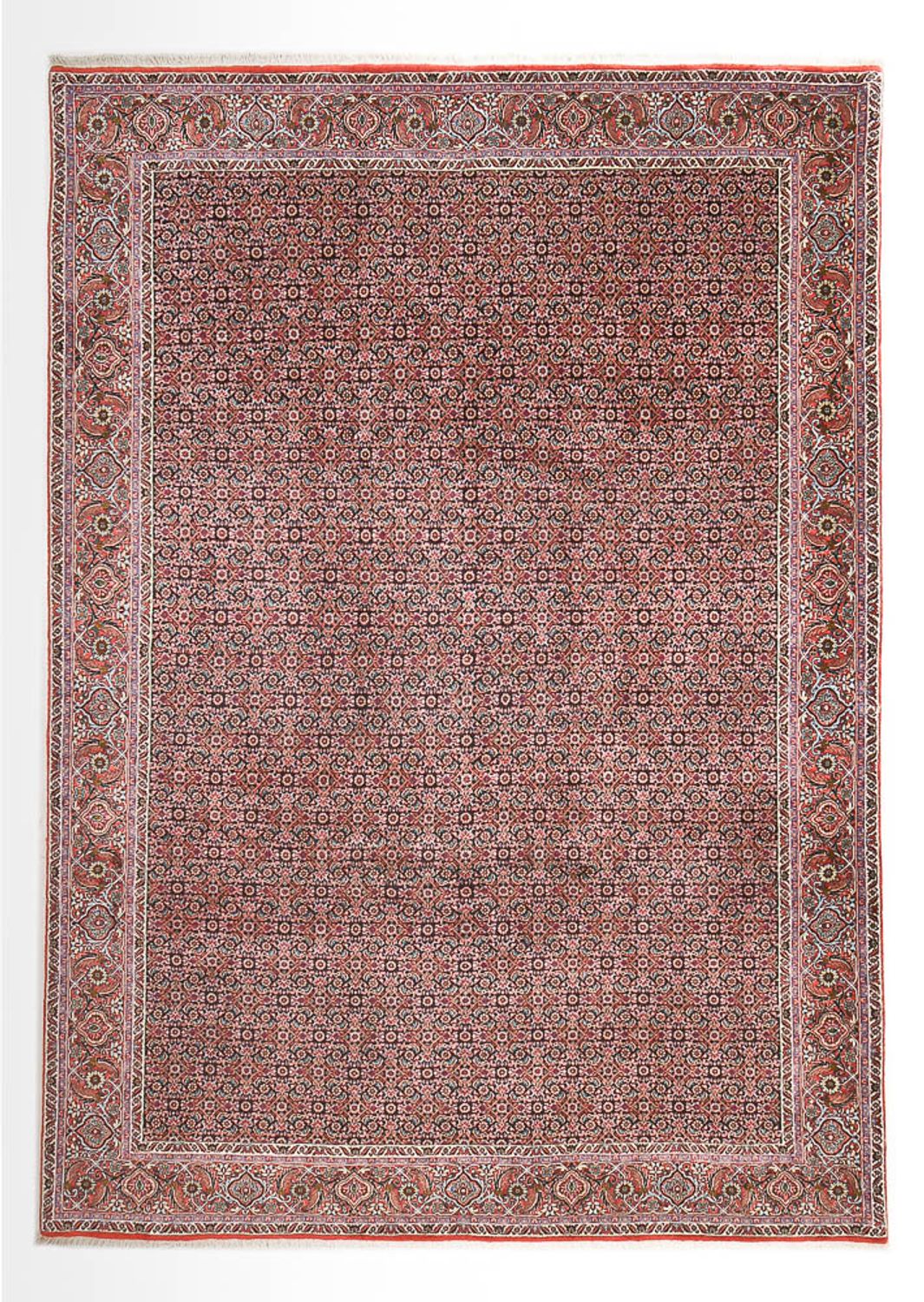 Tapis persan - Bidjar - 362 x 258 cm - rouille