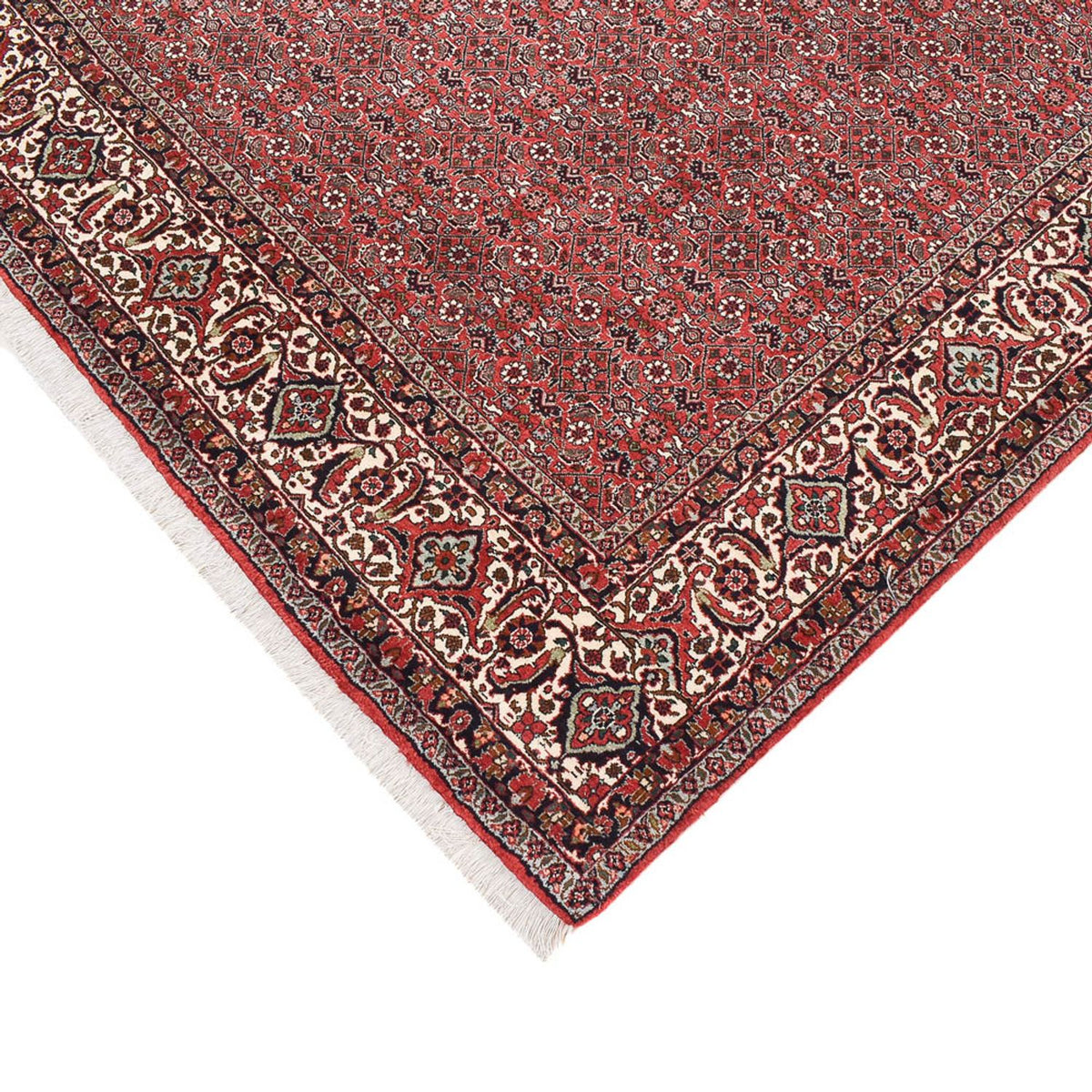 Tapis persan - Bidjar originale  - 387 x 211 cm - rouille