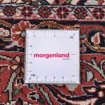 Tapis persan - Bidjar ronde  - 300 x 300 cm - rouille