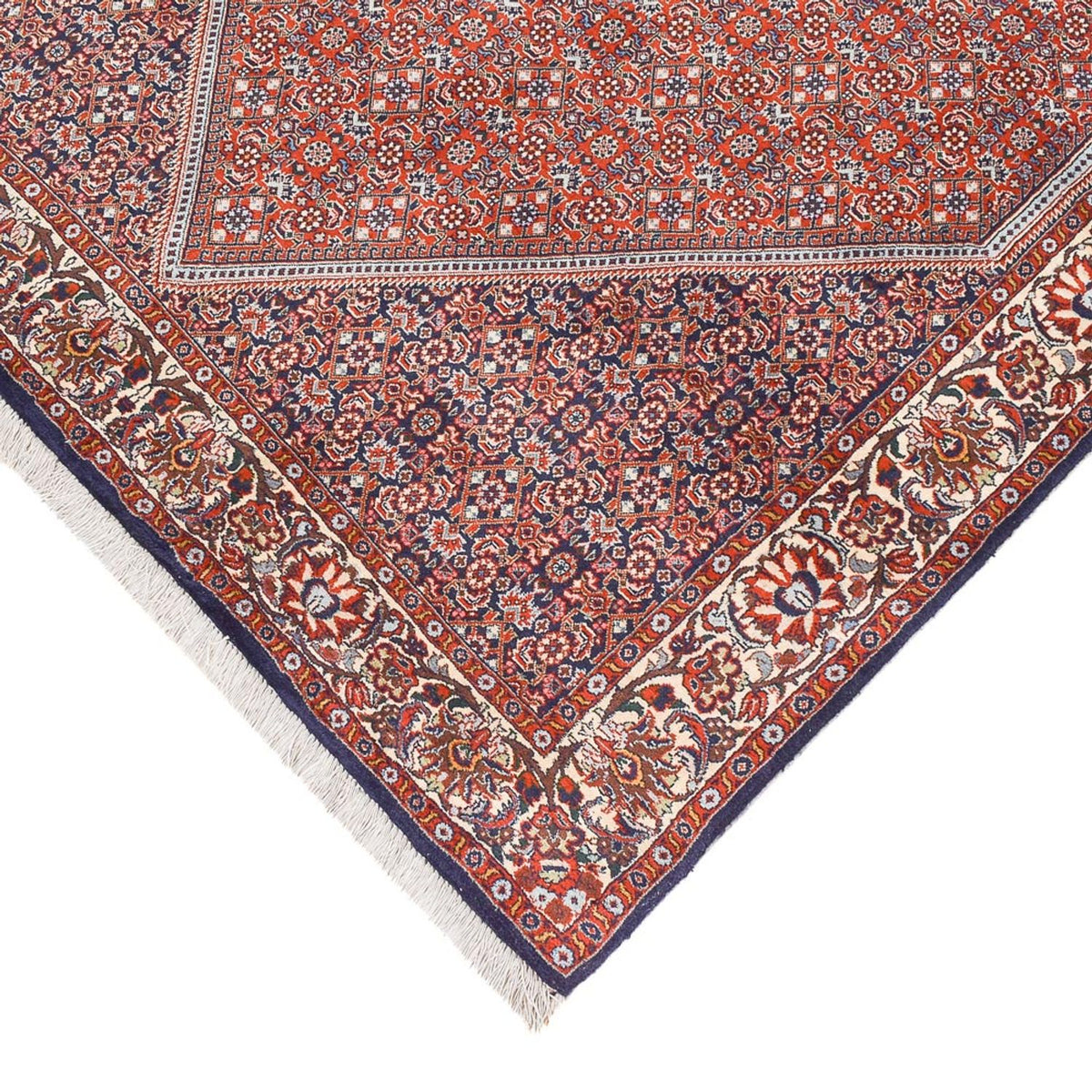 Tapis persan - Bidjar - 245 x 136 cm - rouille