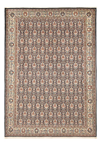 Tapis Gabbeh - Persan Kashkuli - 290 x 202 cm - multicolore