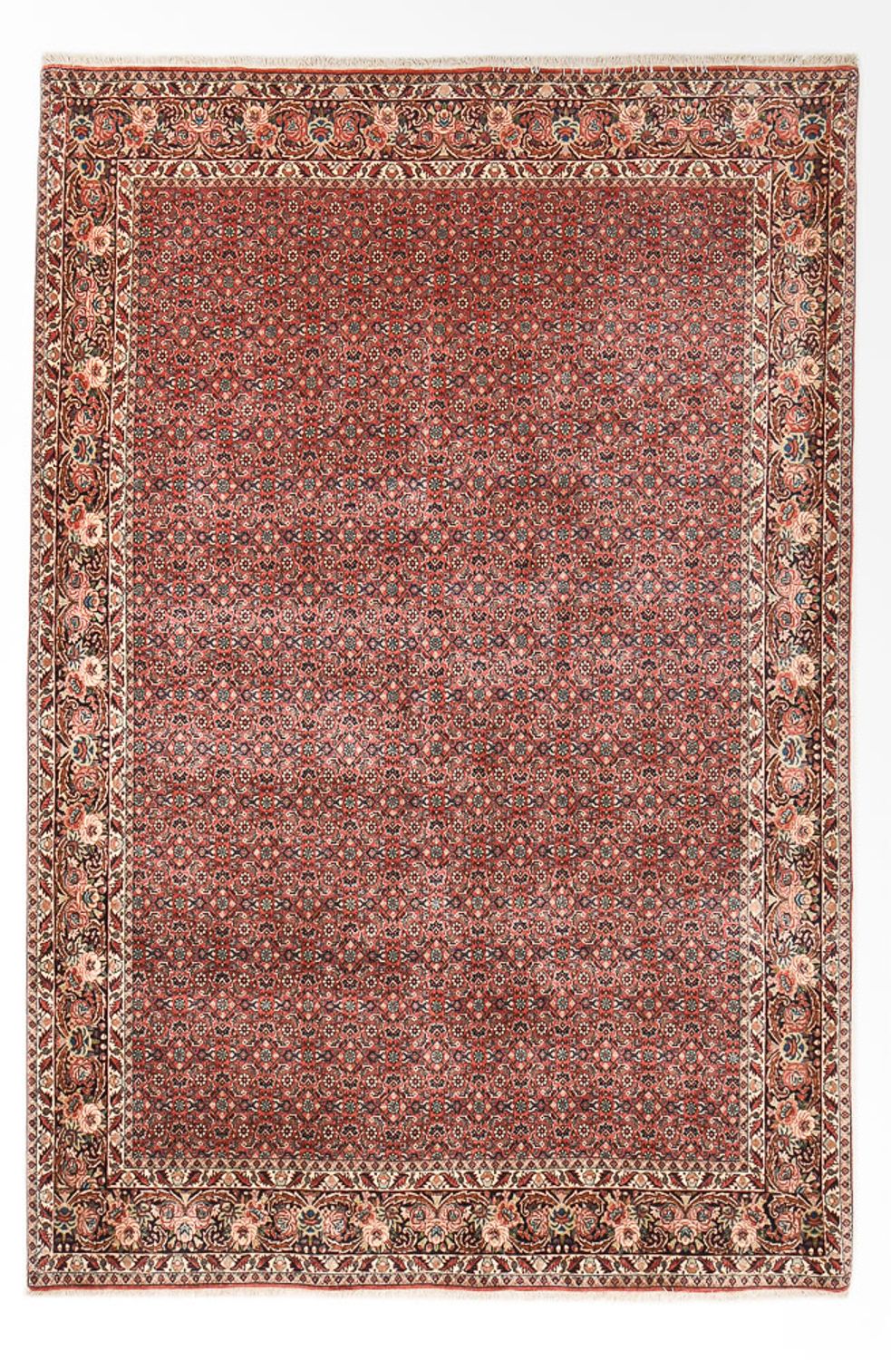 Tapis persan - Bidjar - 297 x 200 cm - rouille