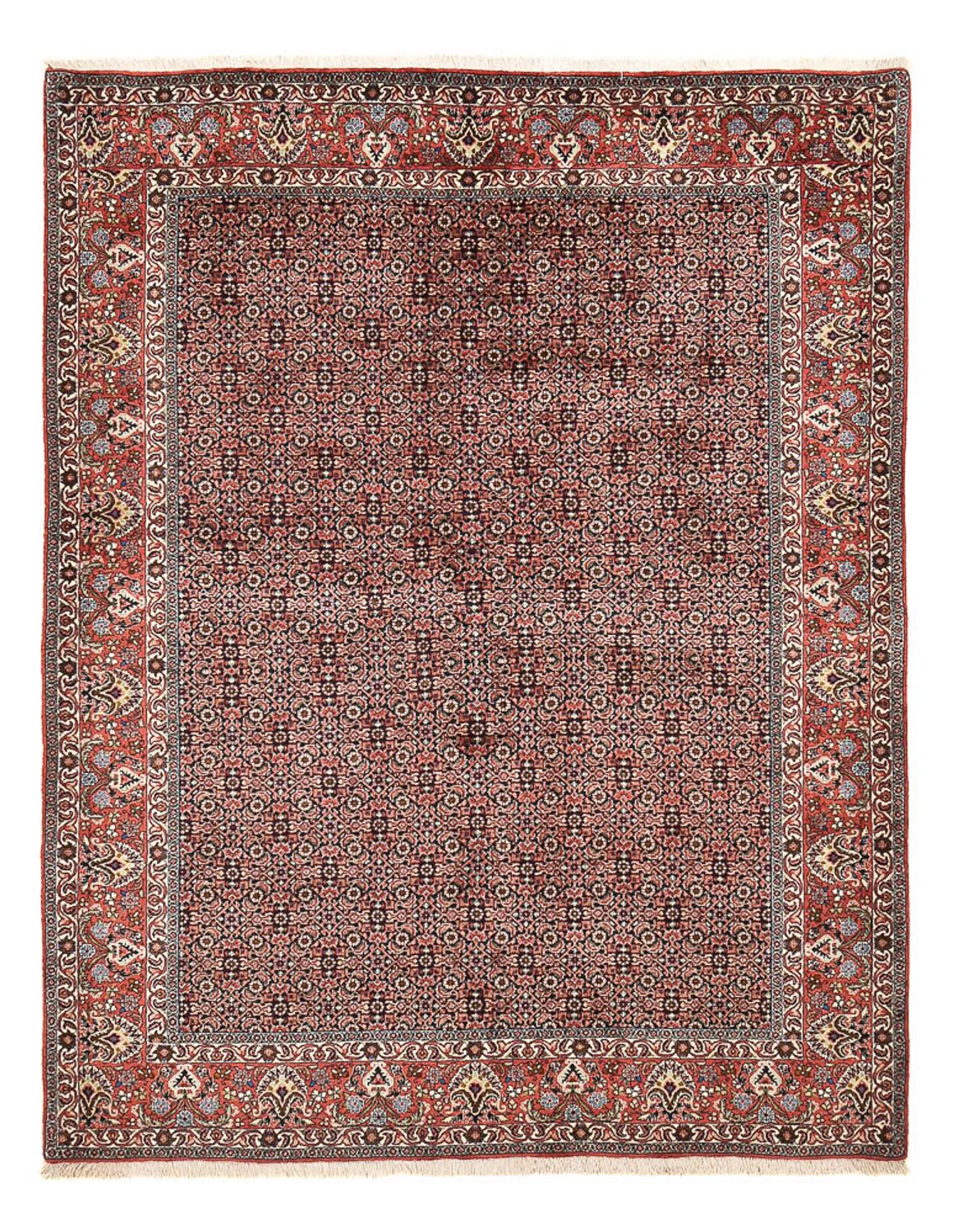 Tapis persan - Bidjar - 247 x 194 cm - rouille