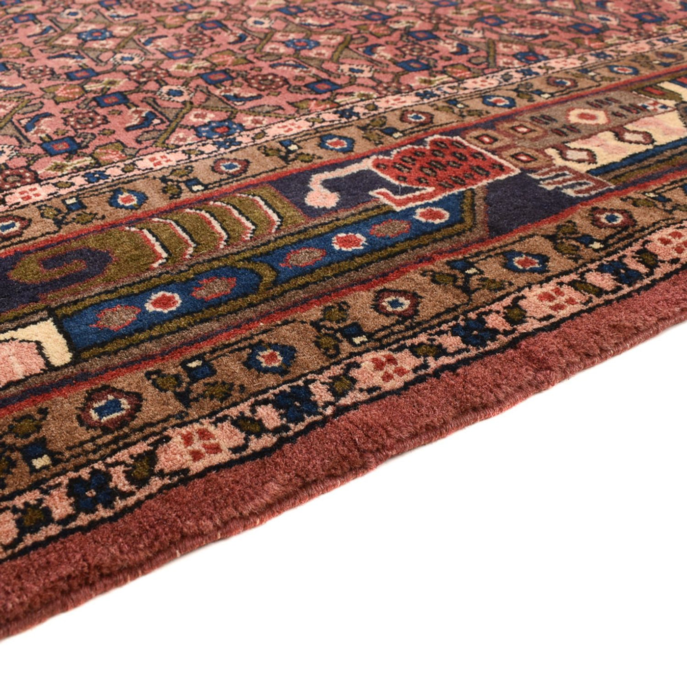 Kolyai Tapis 286x206cm - Tapis persan