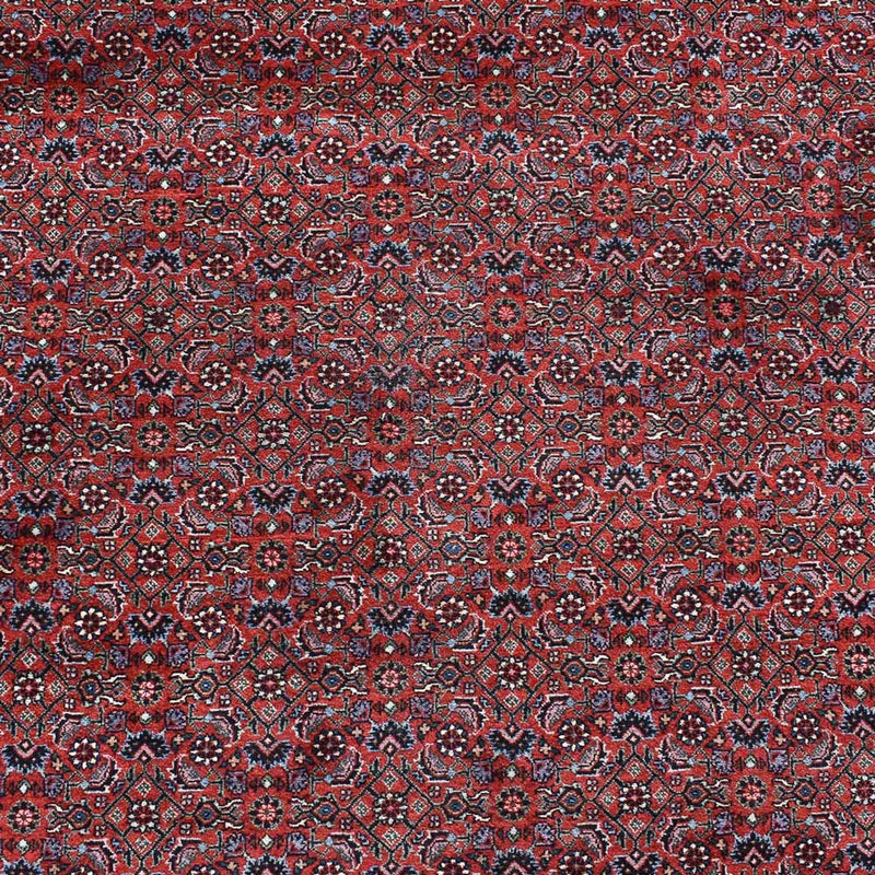 Tapis persan - Bidjar - 490 x 350 cm - rouge bordeaux