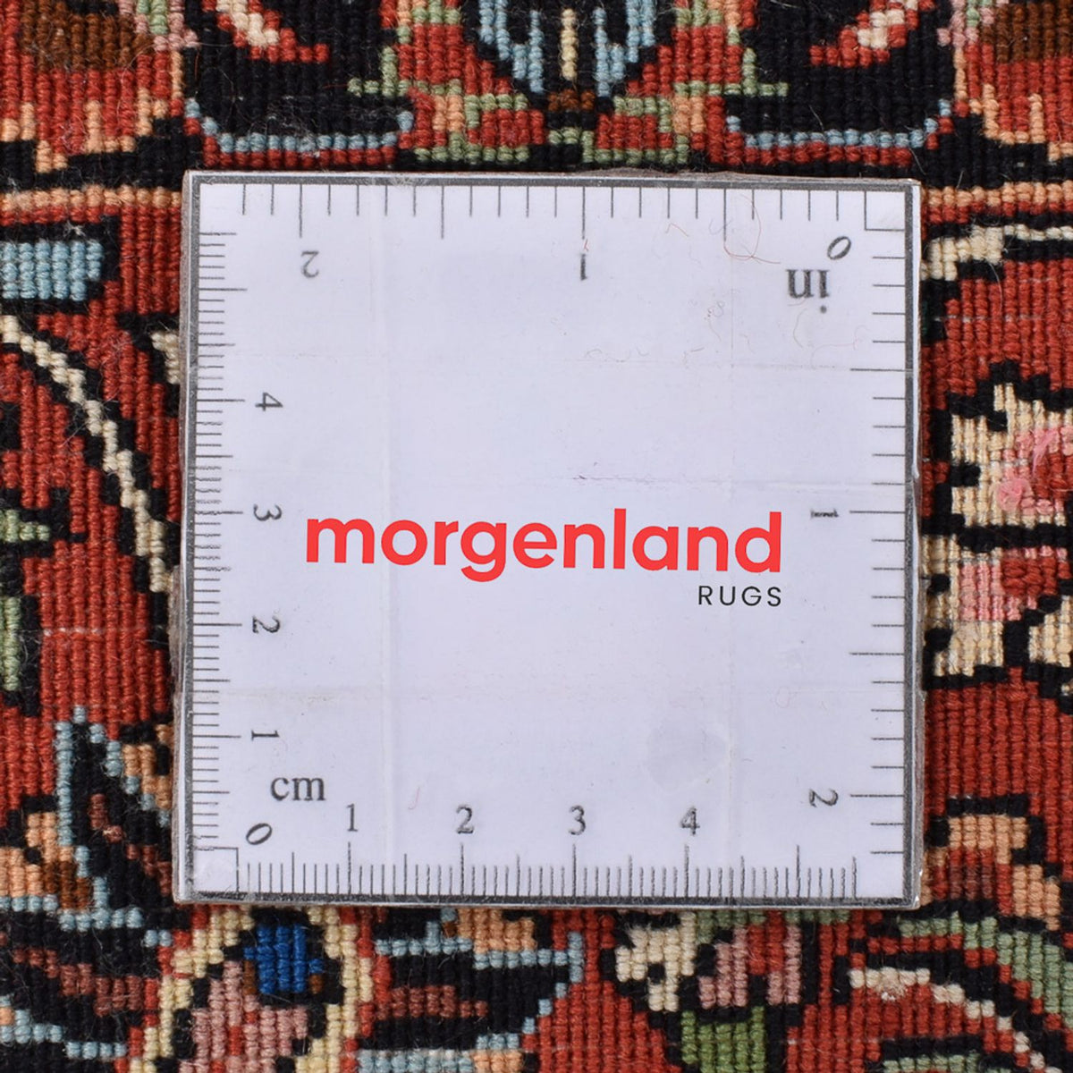 Tapis persan - Bidjar carré  - 251 x 241 cm - crème