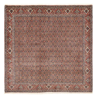 Tapis persan - Bidjar carré  - 204 x 203 cm - rouille