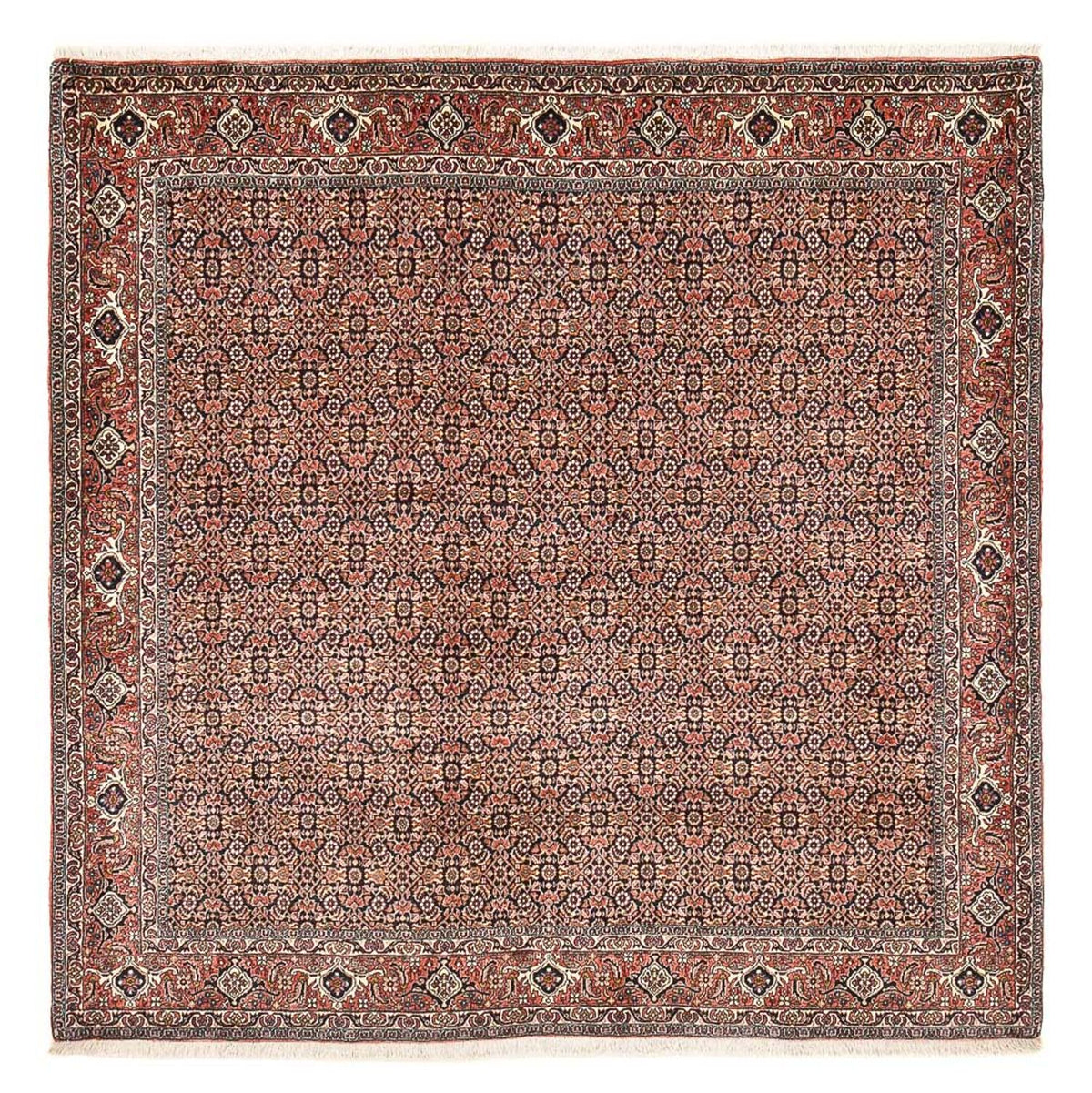 Tapis persan - Bidjar carré  - 204 x 203 cm - rouille