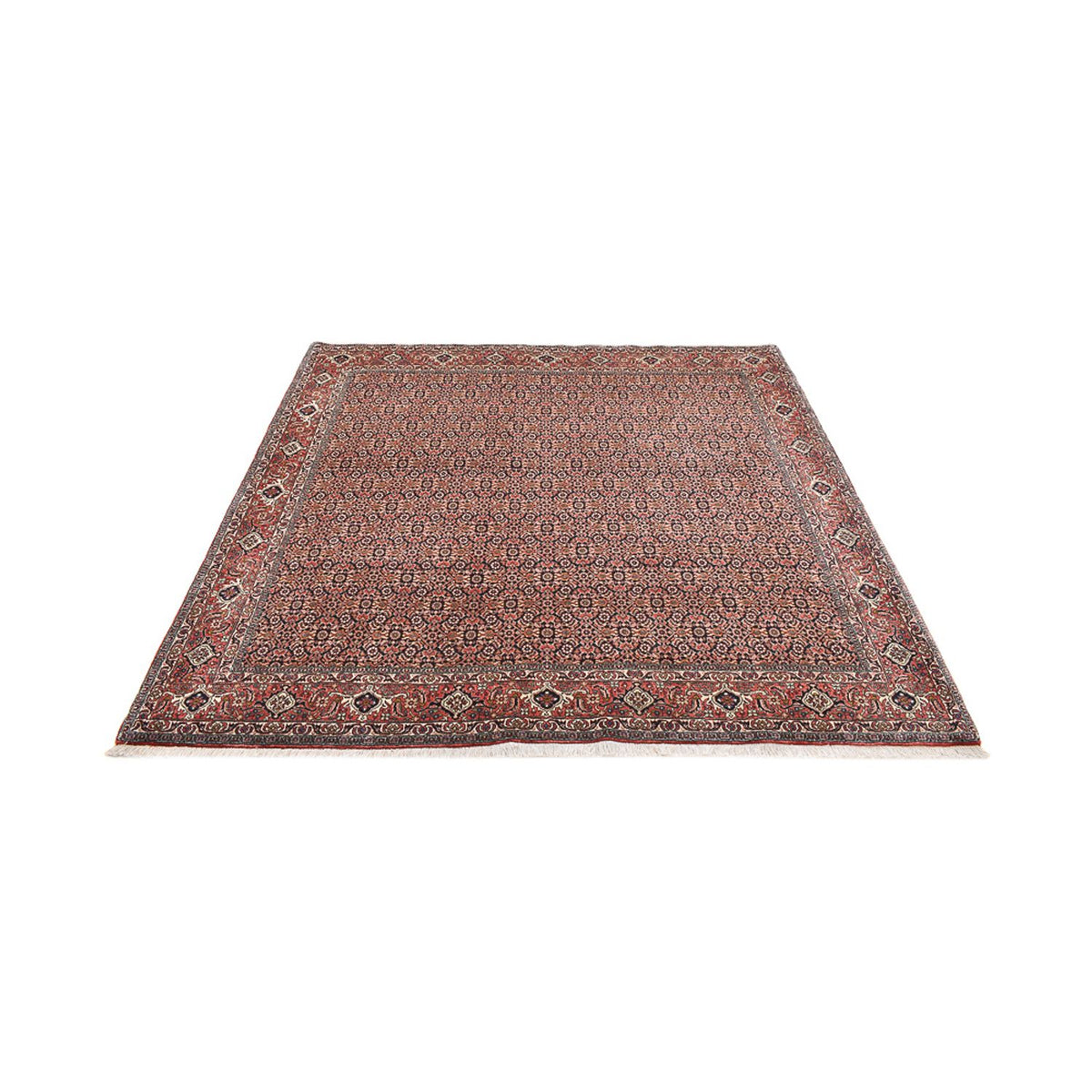 Tapis persan - Bidjar carré  - 204 x 203 cm - rouille