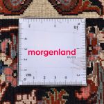 Tapis persan - Bidjar - 295 x 202 cm - rouge clair