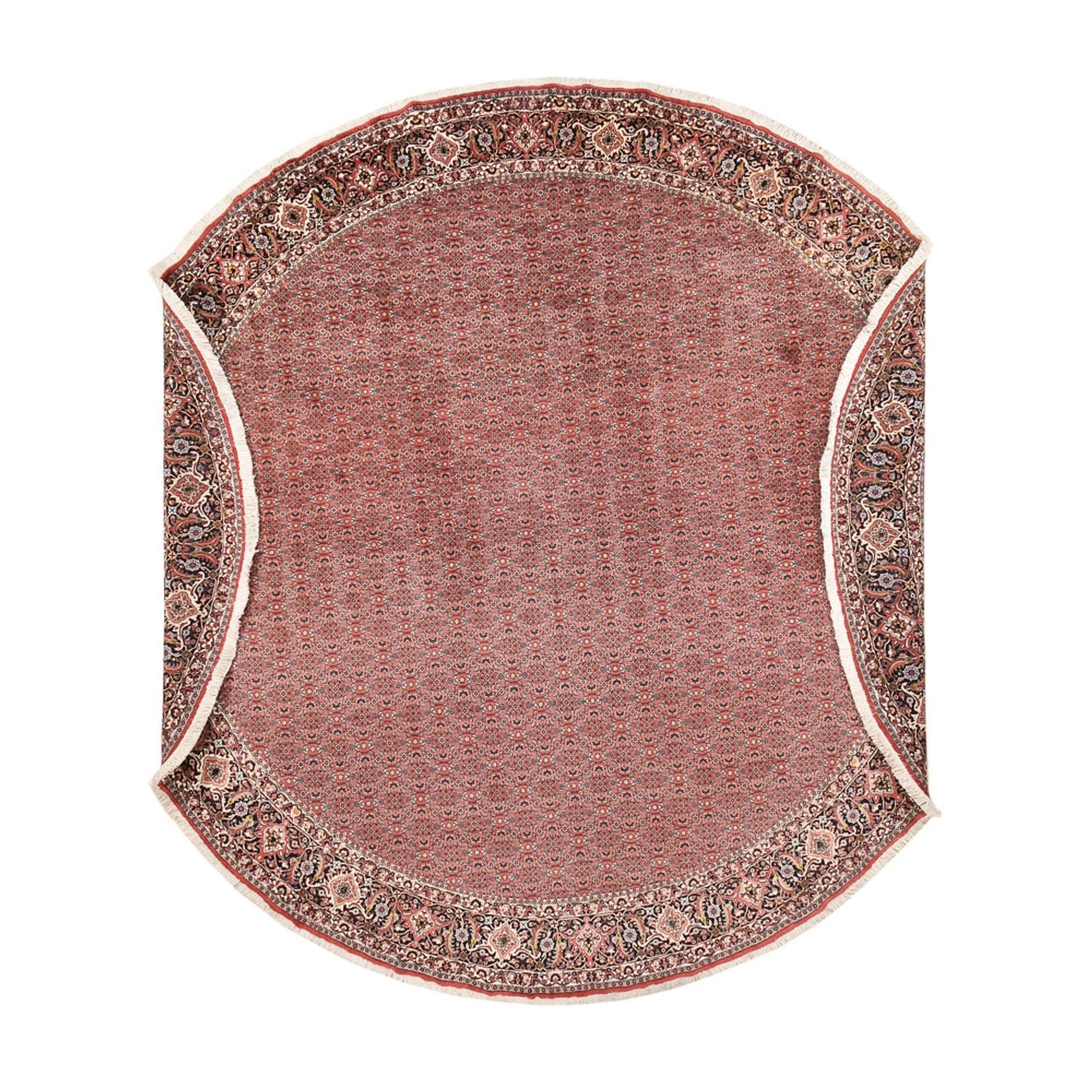 Tapis persan - Bidjar ronde  - 400 x 400 cm - rouille