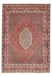 Tapis persan - Bidjar - 295 x 209 cm - rouille