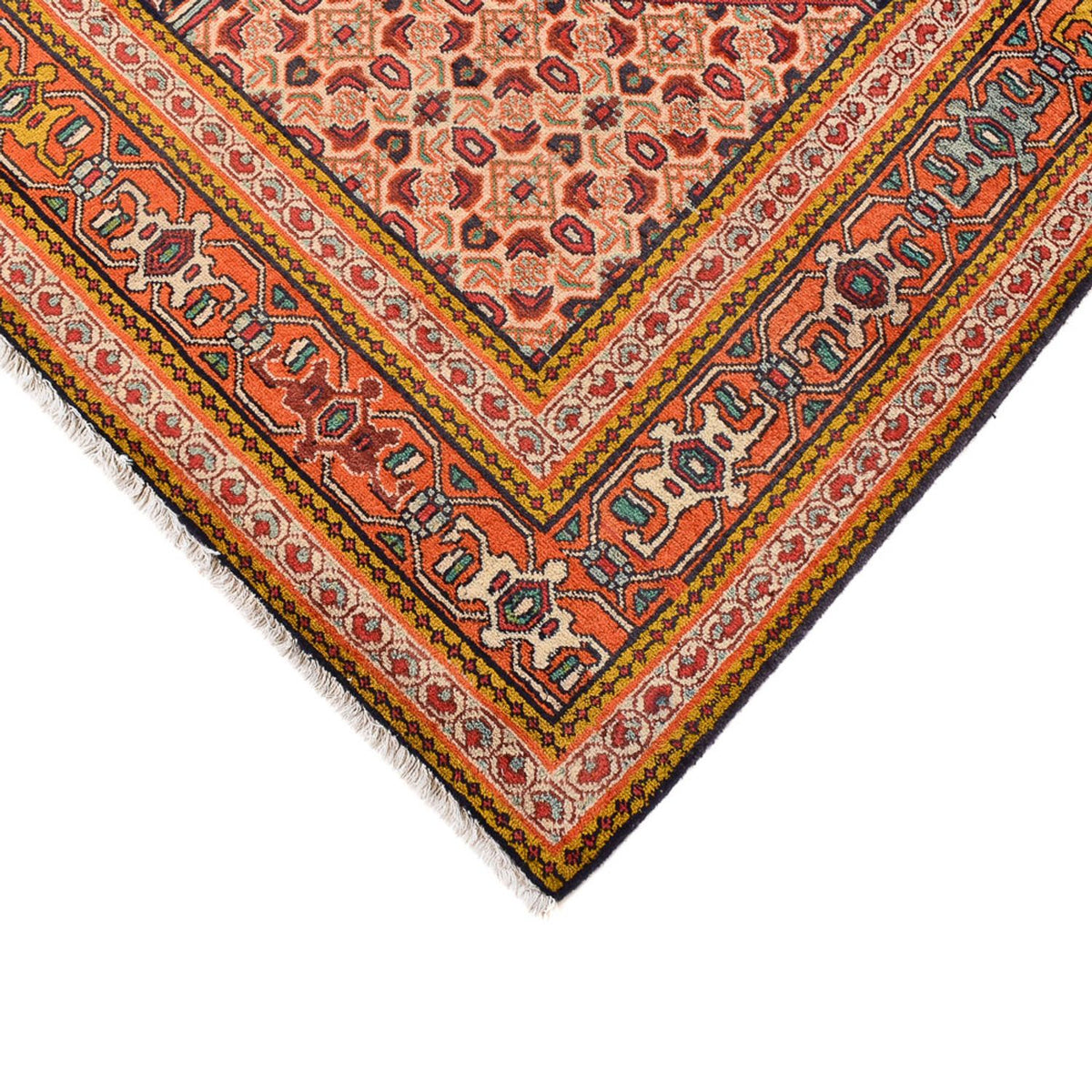 Tapis persan - Bidjar - 393 x 298 cm - beige foncé