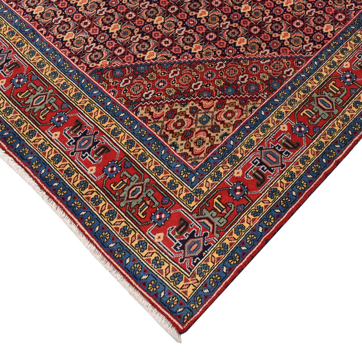 Tapis persan - Nomadic - 292 x 200 cm - rouille
