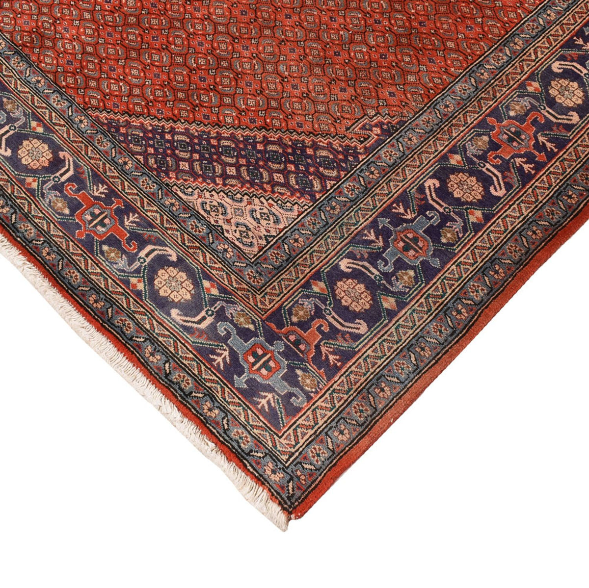 Tapis persan - Nomadic - 288 x 199 cm - orange