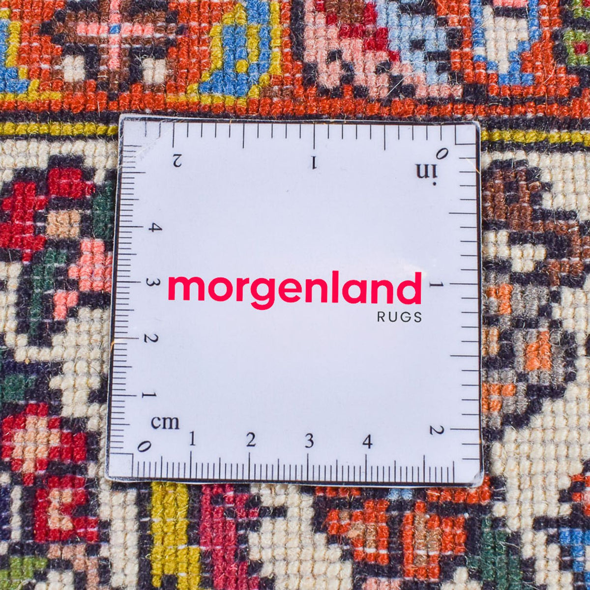 Tapis persan - Nomadic - 296 x 205 cm - multicolore